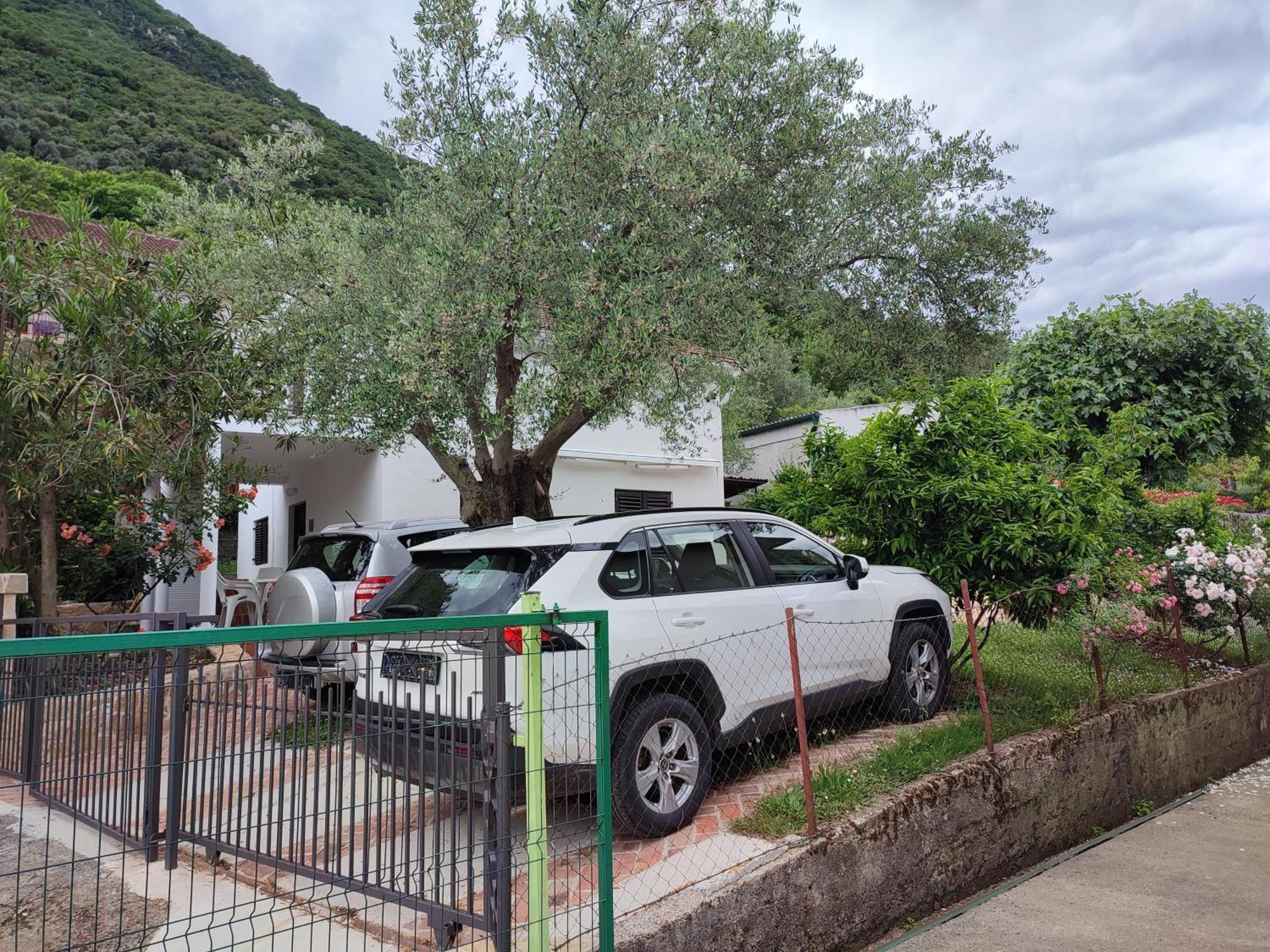 Holiday House In The Kotor Bay 外观 照片