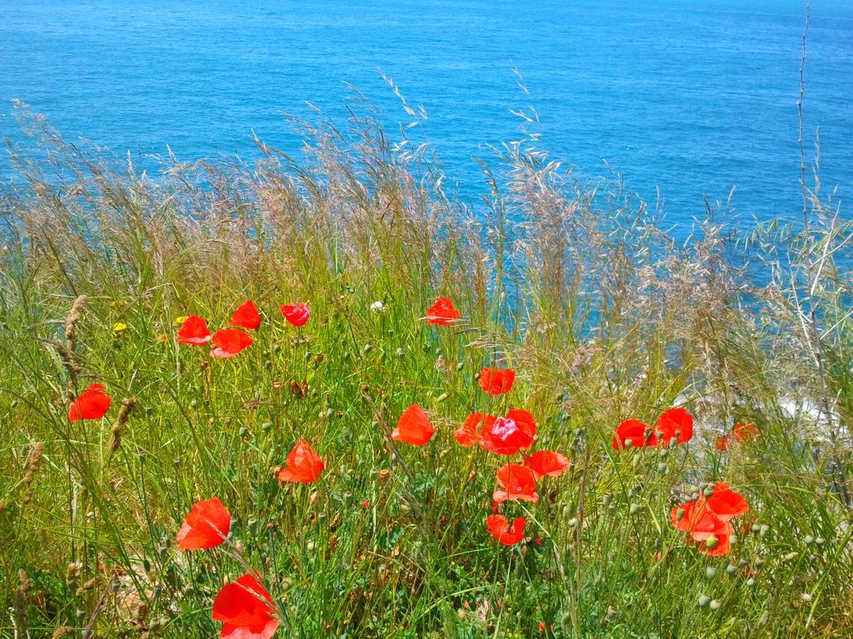 Holiday House In The Kotor Bay 外观 照片